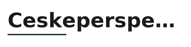 Ceskeperspektivy logo